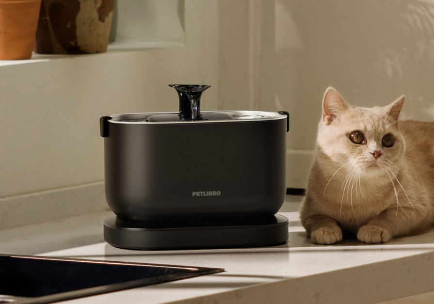 Dockstream Cordless Fountain