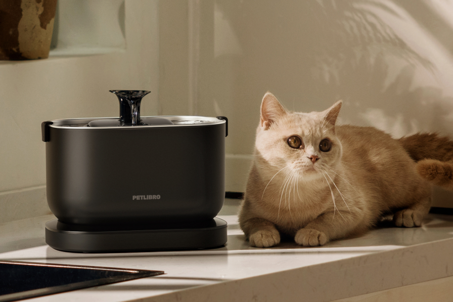 Dockstream Cordless Fountain