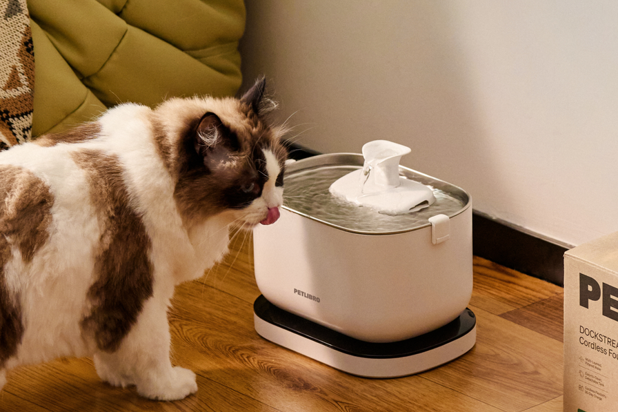 Dockstream Cordless Fountain