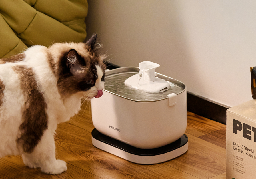 Dockstream Cordless Fountain