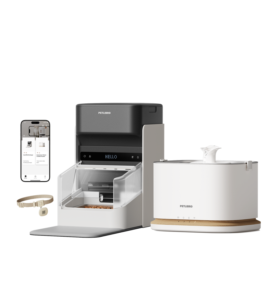 RFID Smart Feeder & Dockstream 2 Smart Cordless Fountain Bundle