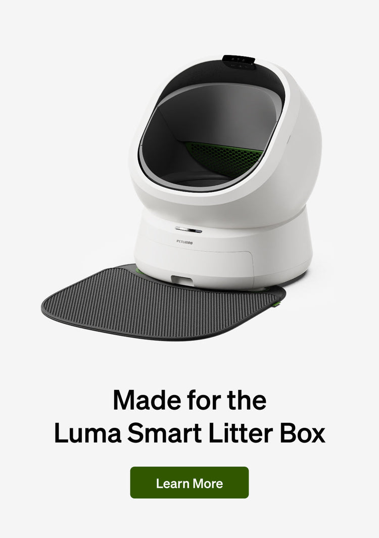 Petlibro PETLIBRO cat pet smart litter box with black mat; banner mentions fountain and automatic feeder, Learn More button