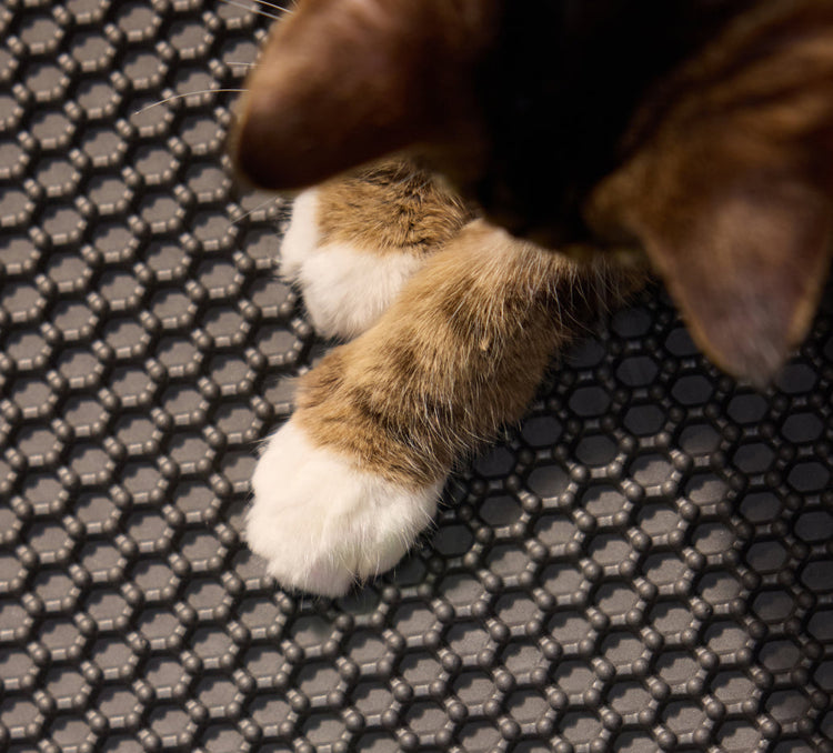 Petlibro PETLIBRO cat pet paws on black honeycomb litter box mat, for fountain and automatic feeder area protection