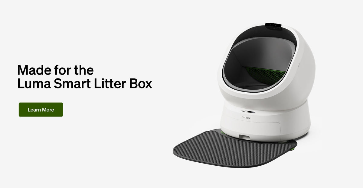 Petlibro PETLIBRO cat pet smart litter box, white automatic unit with black mat; mentions fountain and automatic feeder