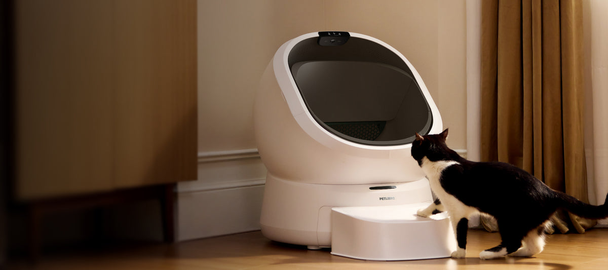 Open, spacious, <br>and easy for them