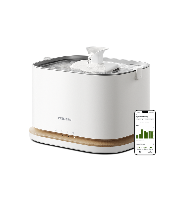 Dockstream 2 Smart Cordless Fountain