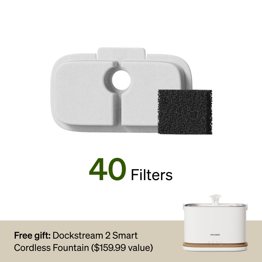 18-Month Filter & Free Fountain Combo